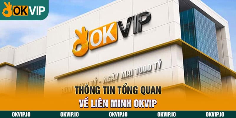 Thông tin tổng quan về liên minh OKVIP