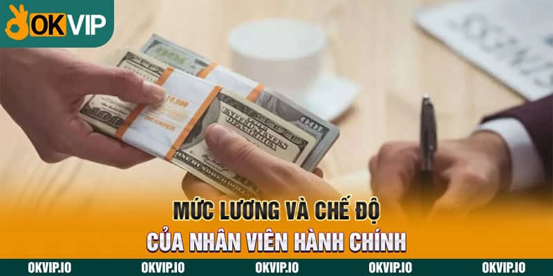 Mức lương và chế độ của nhân viên hành chính