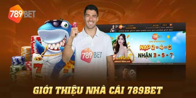 Giới thiệu 789BET với vị thế hàng đầu ngành cá cược