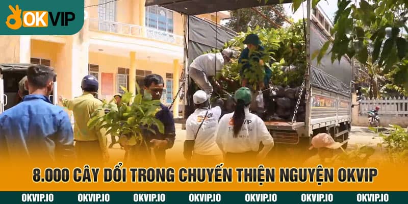 8.000 cây dổi trong chuyến thiện nguyện OKVIP