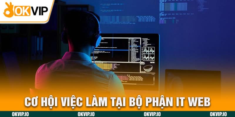 Cơ hội việc làm tại bộ phận IT web