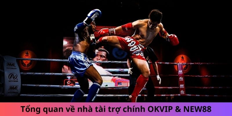 Tổng quan về nhà tài trợ chính OKVIP & NEW88