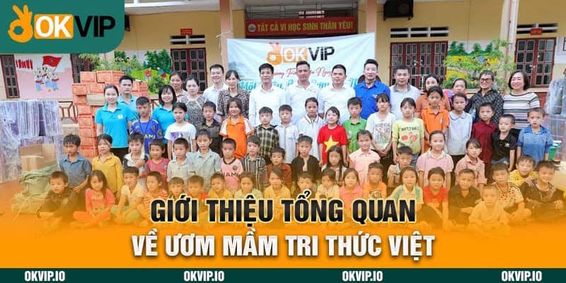 Giới thiệu tổng quan về Ươm Mầm Tri Thức Việt