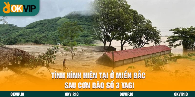 Tình hình hiện tại ở miền Bắc sau cơn bão số 3 Yagi