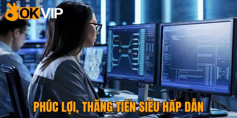 Chính sách đãi ngộ, hỗ trợ dành cho vị trí nhân viên IT